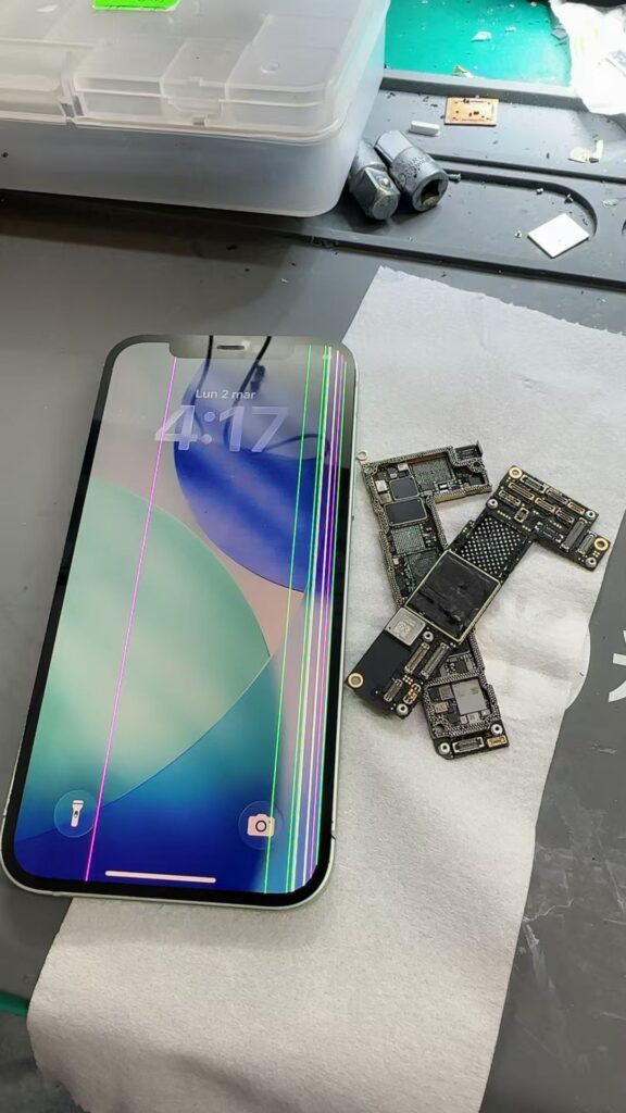 whatsapp image 2026 04 25 at 21.45.40 (2)